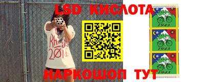 молекула духа Краснодар