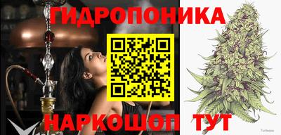 spice Краснокаменск