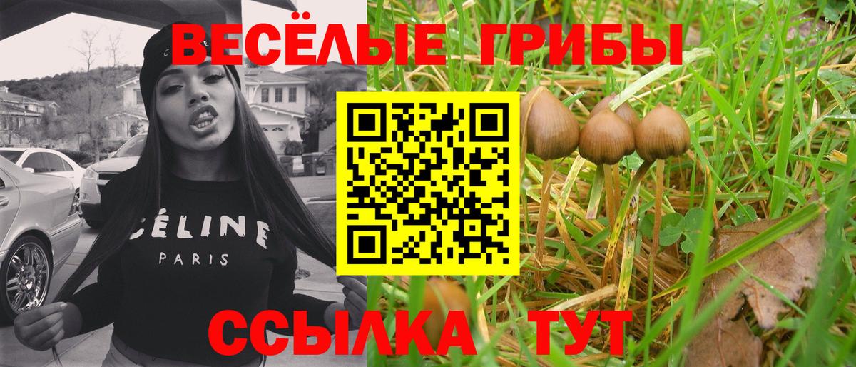 Псилоцибиновые грибы мицелий  Вход с VPN  Кириши 